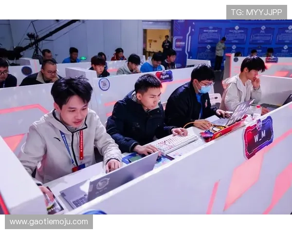 体育比赛网助力赛事热潮全面升级