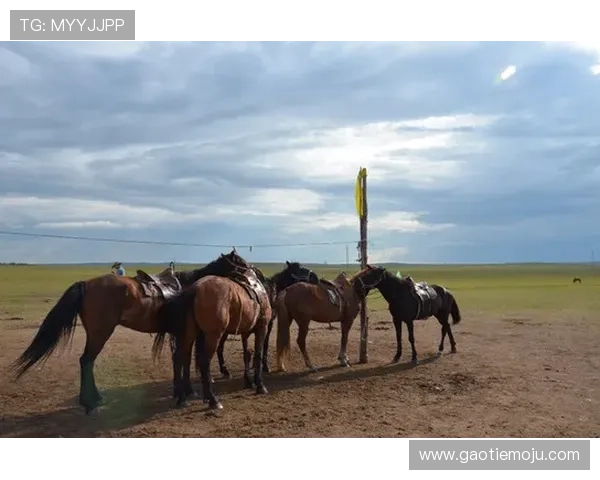 马罗恩:这几个月的努力与收获 马罗恩:这几个月的努力与收获